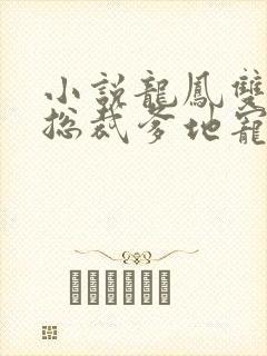 小说龙凤双宝:总裁爹地宠上天