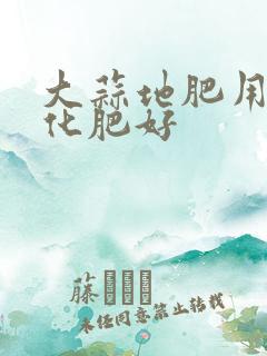 大蒜地肥用什么化肥好
