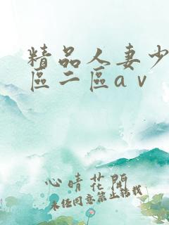 精品人妻少妇一区二区aⅴ