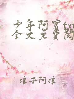 少年阿宾txt全文免费阅读小说