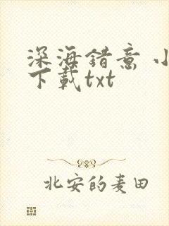 深海错意 小说下载txt
