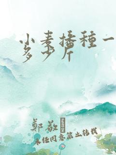 小麦播种一亩地多少斤