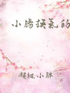 小肠换气的治疗