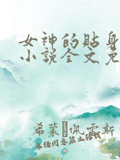 女神的贴身神医小说全文免费阅读