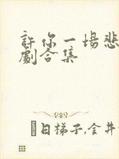 许你一场悲欢短剧合集