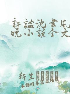 许谧沈聿风宋星晚小说全文免费阅读