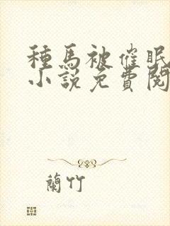 种马被催眠系统小说免费阅读精灵