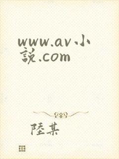 www.av小说.com