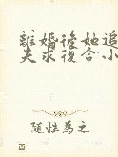 离婚后她追着前夫求复合小说