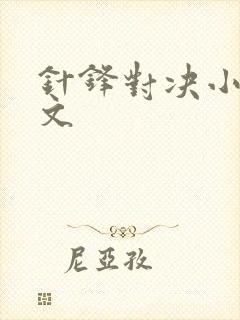 针锋对决小说全文