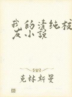我的清纯校花女友小说