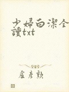 少妇白洁全文阅读txt