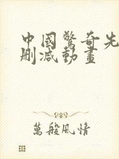 中国惊奇先生无删减动画