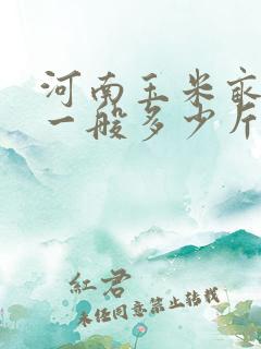 河南玉米亩产量一般多少斤