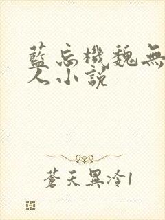 蓝忘机魏无羡同人小说
