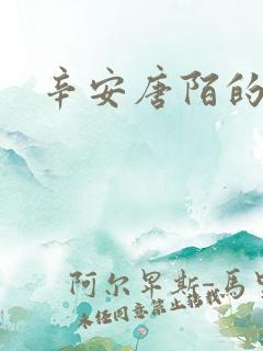 辛安唐陌的小说