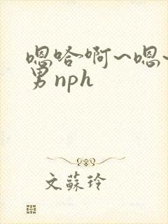 嗯哈啊~嗯~男男nph