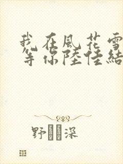 我在风花雪月里等你陆佳结局