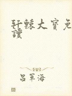 轩辕大宝免费阅读