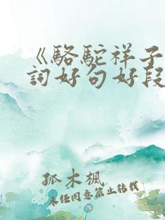 《骆驼祥子》好词好句好段赏析
