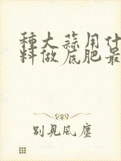 种大蒜用什么肥料做底肥最好