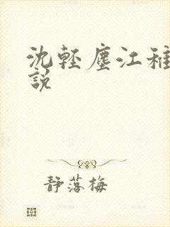 沈轻尘江稚的小说