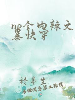 np全肉辣文粗暴快穿