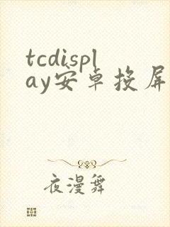 tcdisplay安卓投屏大师