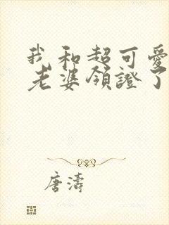 我和超可爱总裁老婆领证了txt下载