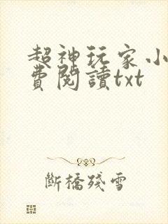 超神玩家小说免费阅读txt