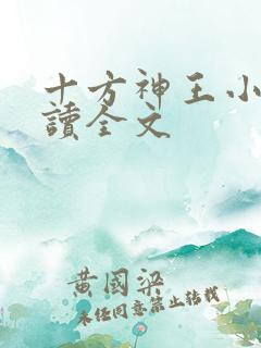 十方神王小说阅读全文