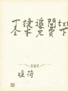丁捷追问txt全本免费下载