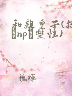 和亲皇子(总受·np·双性)