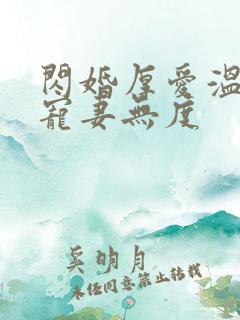 闪婚厚爱温先生宠妻无度