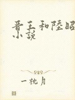 晋王和陆昭菱的小说