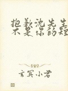 抱歉沈先生孩子不是你的短剧免费全集