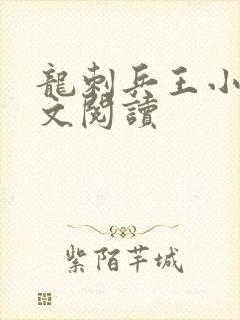龙刺兵王小说全文阅读