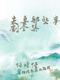 夫妻那些事电视剧全集