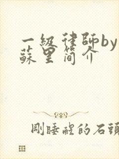 一级律师by木苏里简介
