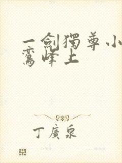 一剑独尊小说青鸾峰上