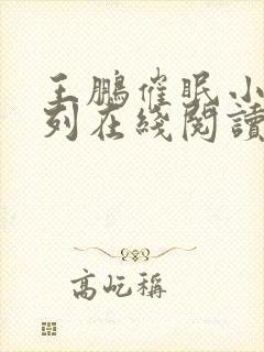 王鹏催眠小说系列在线阅读 王鹏催眠小说系列在线阅读