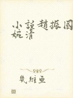小说赵振国 宋婉清