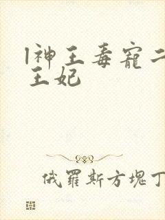 l神王毒宠二嫁王妃