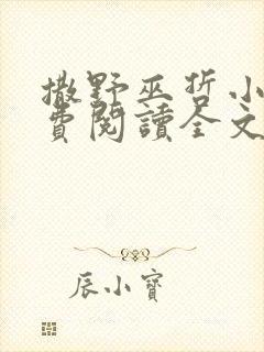 撒野巫哲小说免费阅读全文