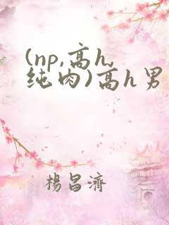 (np,高h,纯肉)高h男男 (np,高h,纯肉)高h男男