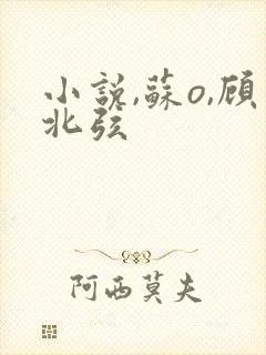 小说,苏o,顾北弦
