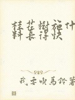 桂花树施什么肥料长得快