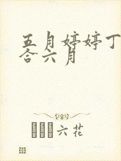 五月婷婷丁香综合六月