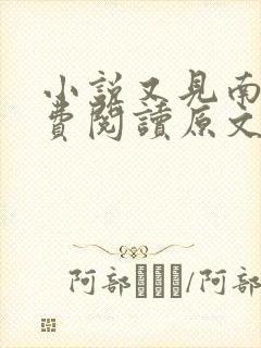 小说又见南枝免费阅读原文