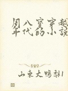 周八宝穿越60年代的小说